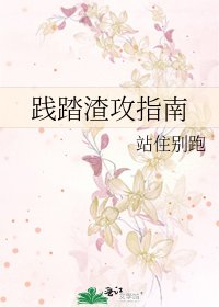 踐踏渣攻指南